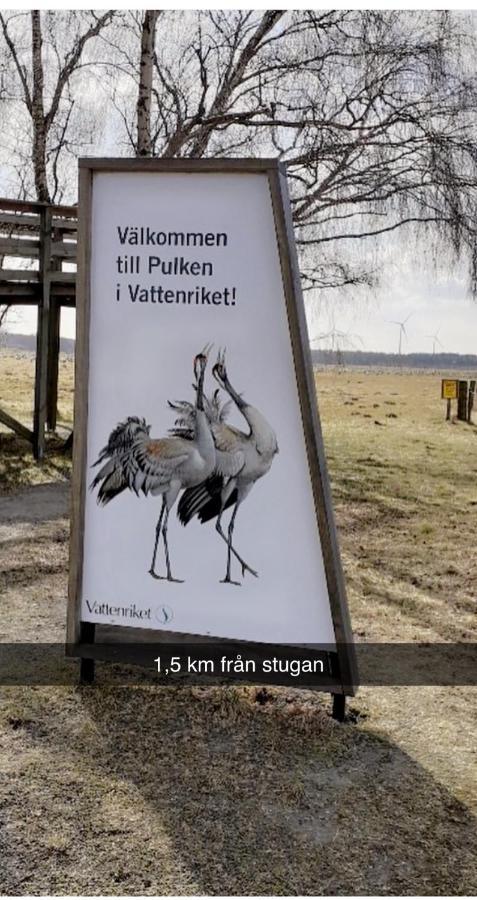 Villa Sus & Dus Yngsjö Zewnętrze zdjęcie